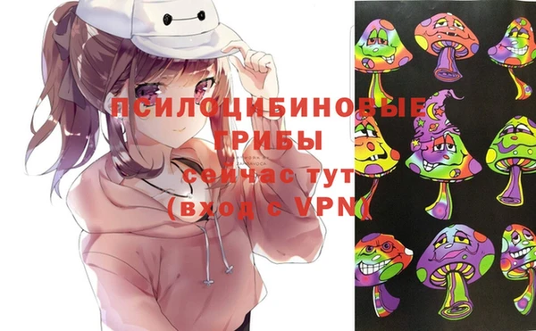 СК Куйбышев