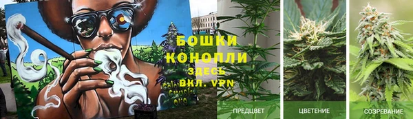 прущие крисы Ладушкин